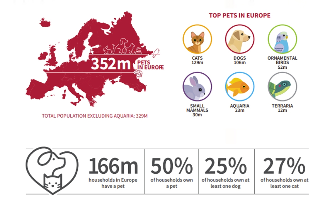 歐洲養(yǎng)狗突破1億只，哪個(gè)國家最多？歐洲寵物市場情報(bào)！